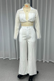 Casual Solid Color Pocket See-Through Turndown Collar Long Sleeve Two Pieces