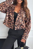 Casual Street Zebra Print Leopard Buttons Contrast Turn-back Collar Outerwear
