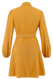 Daily Elegant Solid Color Lace Up Ruffle V Neck Irregular Dresses