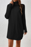 Casual Street Solid Color Weave Turtleneck Long Sleeve Dresses