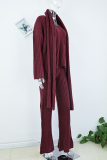 Casual Street Solid Color Weave Potholes V Neck Long Sleeve Two Pieces(Send a scarf)