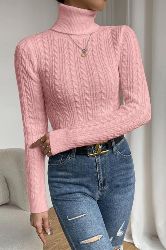Casual Daily Solid Color Weave Texture Turtleneck Tops