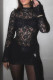 Sexy Solid Color Lace See-Through O Neck Lace Dress Dresses