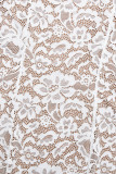 Sexy Solid Color Lace Half A Turtleneck Fishtail Dresses