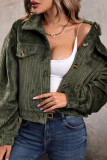 Casual Solid Color Buttons Texture Fluffy Turndown Collar Outerwear