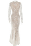 Elegant Solid Color Lace O Neck Long Dresses