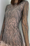 Elegant Solid Color Mesh Tinsel Feather Hemline O Neck Mini Dresses