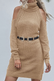 Elegant Solid Split Joint Without Belt Turtleneck A Line Dresses