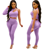 purple Elastic Fly Mid Hooded Out Solid pencil Pants Two-piece suit CY77055