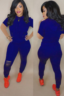 Royal blue Polyester Fashion Active adult Ma'am hooded Solid Burn-out Two Piece Suits Stitching Plus Size 