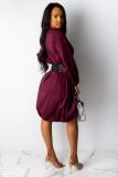 Brown Polyester Casual lantern sleeve Long Sleeves O neck Lantern skirt Knee-Length Solid  Casual Dresses
