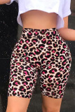 Leopard print Green Brown Leopard print rose red colour Elastic Fly Mid Print Straight Capris Bottoms