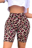 Brown Green Brown Leopard print rose red colour Elastic Fly Mid Print Straight Capris Bottoms