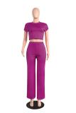 fuchsia Polyester Casual Fashion Slim fit crop top Solid Two Piece Suits Straight 