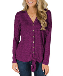 purple V Neck Long Sleeve Solid  Sweaters & Cardigans