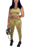 Gold Velvet Fashion Casual adult Ma'am Patchwork Solid Two Piece Suits Straight Sleeveless Two Pieces