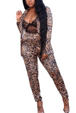 Leopard print Fashion Casual Adult Print Leopard Cardigan Turndown Collar Long Sleeve Regular Sleeve Regular Two Pieces
