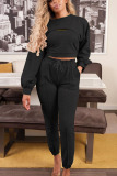 Black Casual Solid O Neck Long Sleeve Regular Sleeve Two Pieces