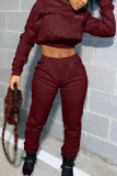 Wine Red Fashion Sexy Adult Solid Letter Hooded Collar Long Sleeve Regular Sleeve Regular Two Pieces