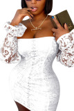 White Fashion Sweet Adult Lace Solid Hollowed Out See-through Bateau Neck Long Sleeve Mini Lace Dress Dresses