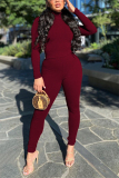 Wine Red Fashion Casual Solid Basic Turtleneck Long Sleeve Two Pieces