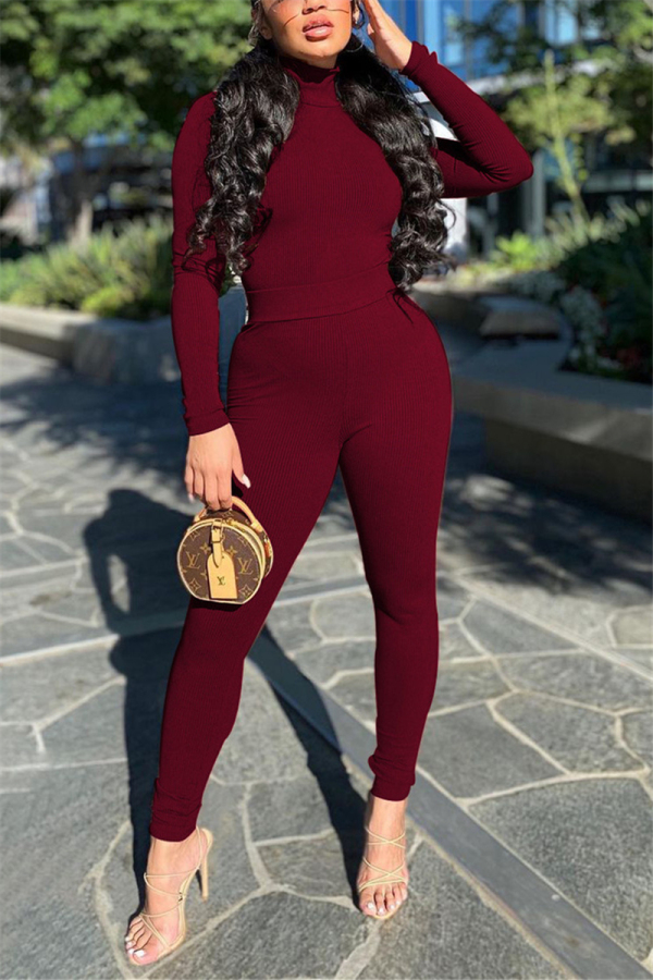 Wine Red Fashion Casual Solid Basic Turtleneck Long Sleeve Two Pieces