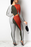 multicolor Casual Daily Solid Split Joint O Neck Long Sleeve Two Pieces