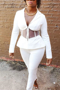 White Casual Solid Patchwork V Neck Long Sleeve Two Pieces