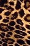 Leopard Print Fashion Sexy adult Print HOLLOWED OUT Patchwork Two Piece Suits pencil Long Sleeve
