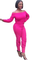 Pink Sexy Two Piece Suits Solid pencil Long Sleeve