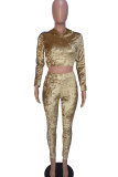 Champagne Elastic Fly Long Sleeve Mid Patchwork Solid Straight Pants Two-piece suit