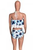 Light Blue Print Geometric Floral ruffle Patchwork Fashion Sexy One-Piece Swimwear