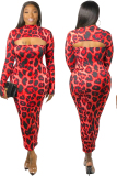 Grey Fashion adult Sexy Leopard Print Two Piece Suits Patchwork pencil Long Sleeve Two-Piece D