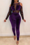 Purple Sexy Mesh Patchwork Solid velvet Long Sleeve O Neck