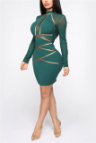 Green Fashion Sexy Regular Sleeve Long Sleeve Turtleneck Pencil Skirt Mini Patchwork Dresses