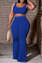 Blue Sexy Casual Solid Basic U Neck Sleeveless Two Pieces