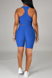 Blue Sportswear Solid Patchwork O Neck Sleeveless Two Pieces