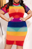 Rainbow Color Sexy Print Split Joint Half A Turtleneck Pencil Skirt Plus Size Dresses