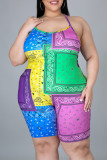 Multicolor Fashion Casual Print Basic Turtleneck Plus Size Two Pieces