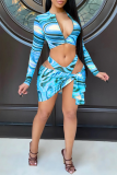 Baby Blue Sexy Print Hollowed Out Patchwork Swimwears