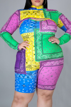 Multicolor Fashion Casual Print Basic Turtleneck Plus Size Two Pieces