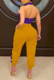 Purple Sexy Solid Patchwork Backless Halter Sleeveless Two Pieces