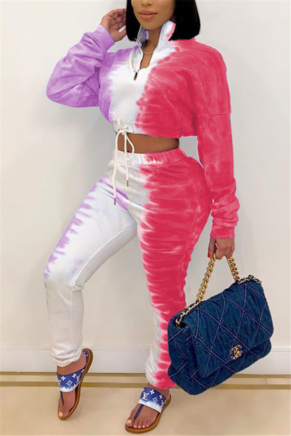 Pink Fashion Casual Long Sleeve Zipper Collar Regular Sleeve Short Print Two Pieces