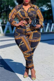 Multicolor Sexy Casual Print See-through Turndown Collar Plus Size Two Pieces