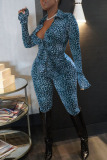 Blue Sexy Print Leopard Split Joint Buckle Turndown Collar Long Sleeve Two Pieces