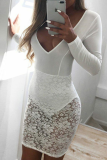 Black Sexy Solid Lace V Neck Pencil Skirt Dresses