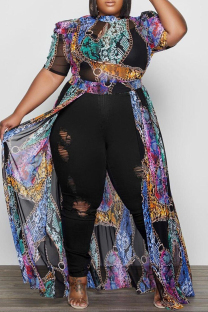Colour Fashion Casual Patchwork Print See-through O Neck Plus Size Tops