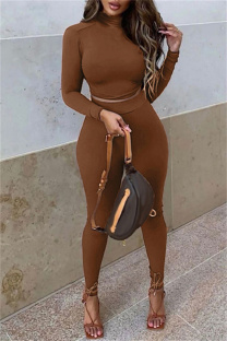 Brown Fashion Casual Solid Basic Turtleneck Long Sleeve Two Pieces