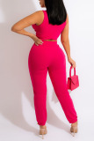 Pink Sexy Solid Split Joint V Neck Sleeveless Two Pieces