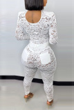 White Sexy Turtleneck Perspective Lace Two-Piece Set
